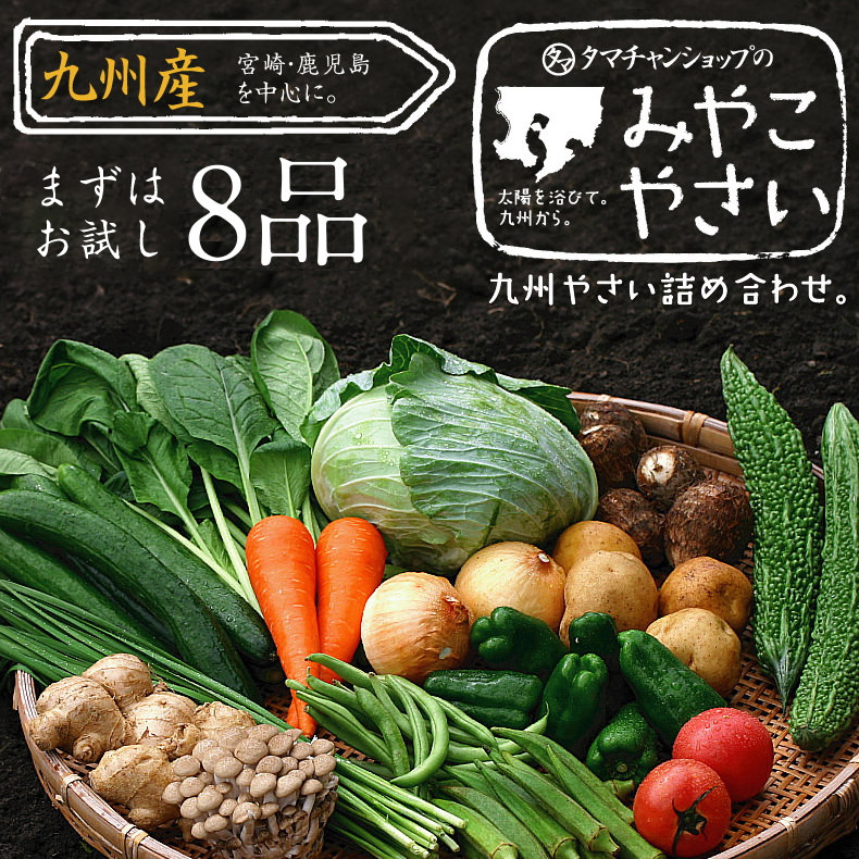 九州野菜セット | タマチャンショップ  公式オンラインストア｜タマチャンショップは毎日の食事で体の中から健康・美容・ダイエットを目指す方への自然食品ショップ » 九州野菜セット