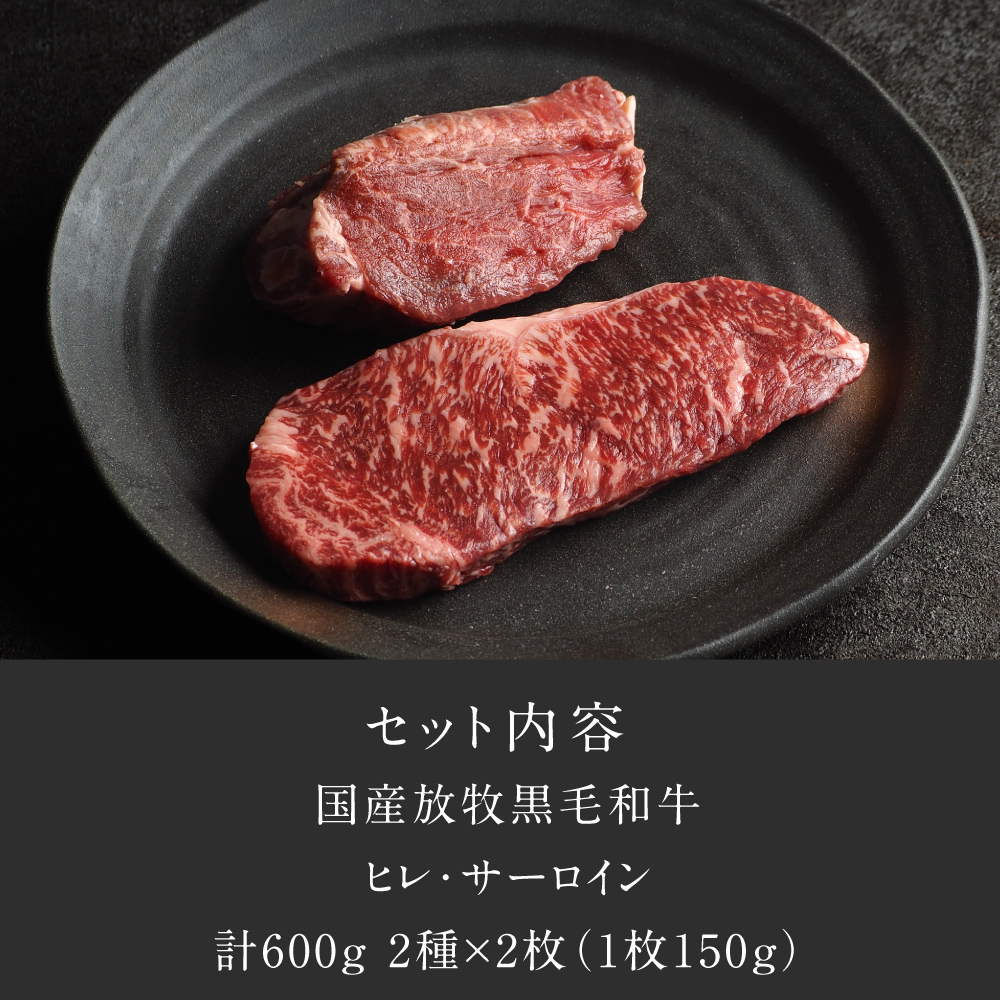 Dr.Beef ステーキ ヒレ＆サーロイン2種セット合計600gサムネイル01