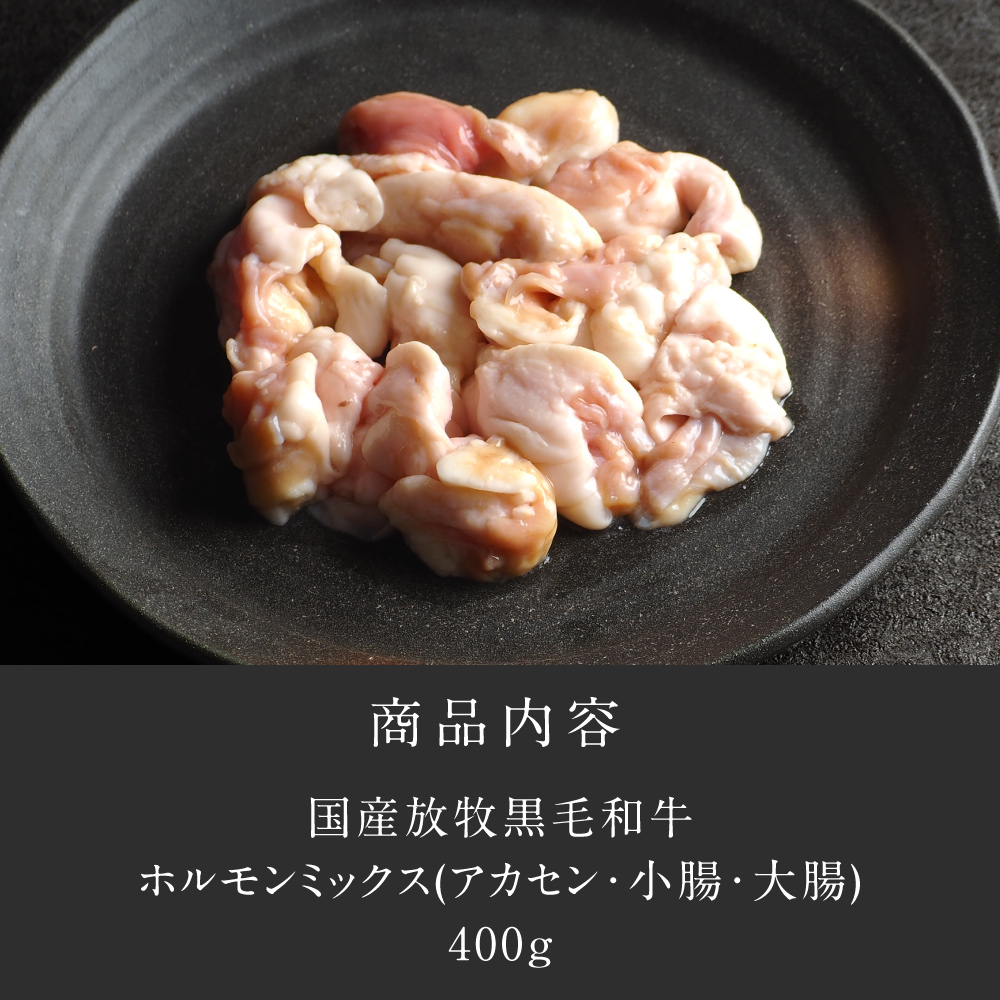 Dr.Beef ホルモンミックス400gサムネイル01