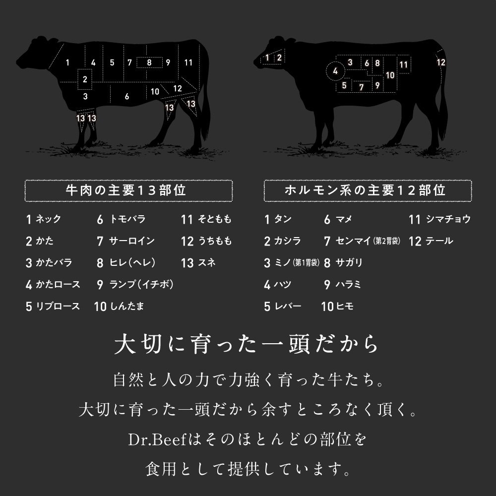 Dr.Beef ランプステーキ合計1.5kg | タマチャンショップ 公式