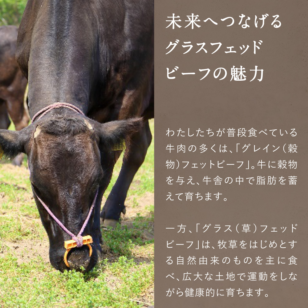 Dr.Beef ヒレステーキ合計300g | タマチャンショップ 公式