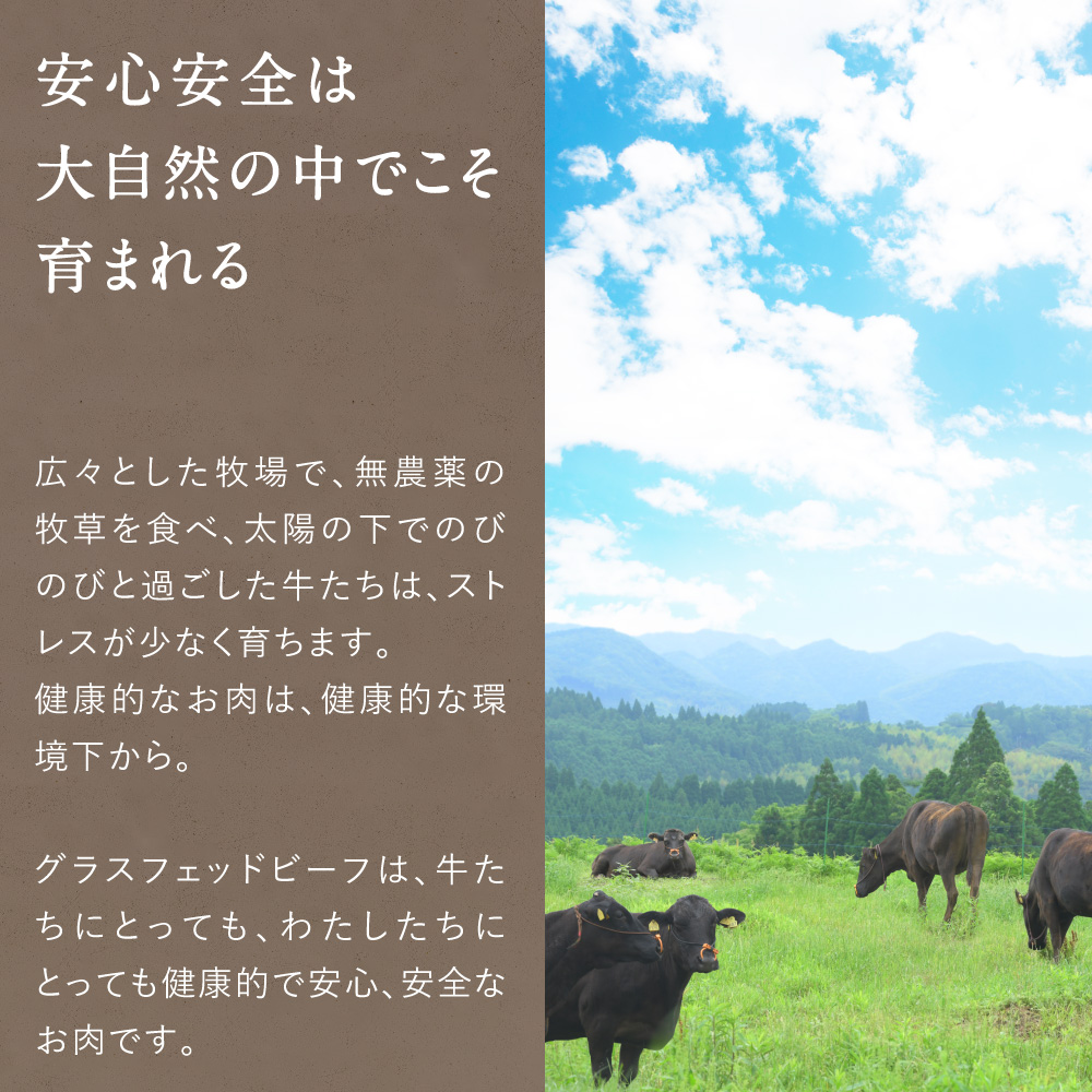 Dr.Beef 焼肉2種セット合計1.05kgサムネイル01