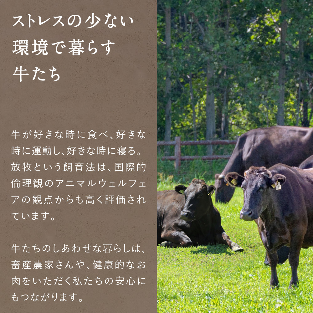 Dr.Beef 焼肉2種セット合計1.05kgサムネイル01