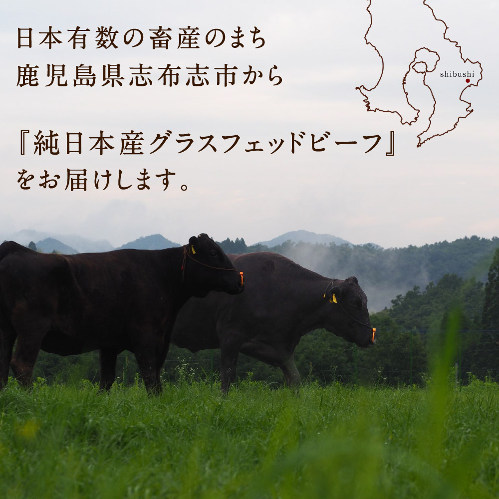 Dr.Beef 焼肉2種セット合計1.05kgサムネイル01