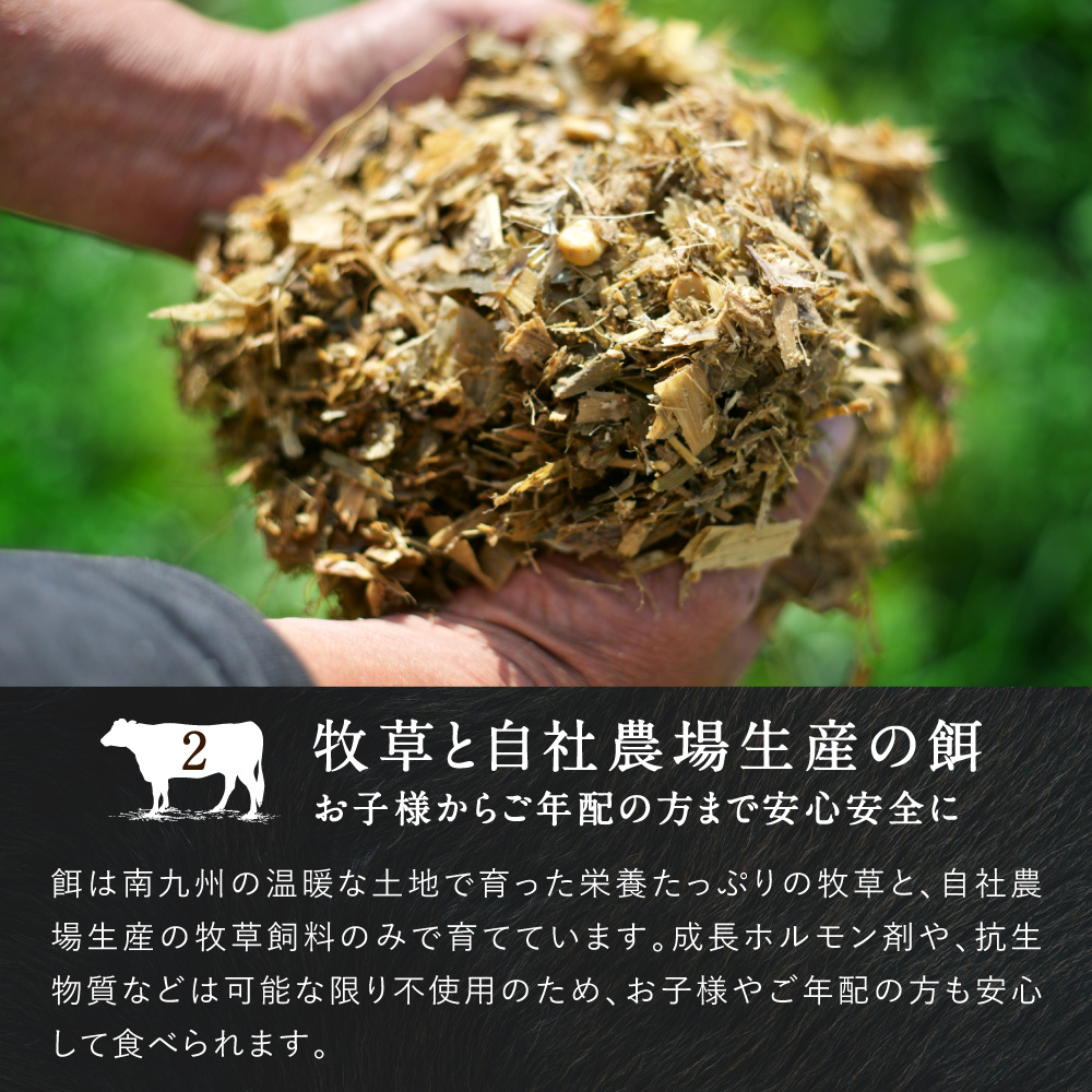 Dr.Beef 焼肉2種セット合計1.05kgサムネイル01