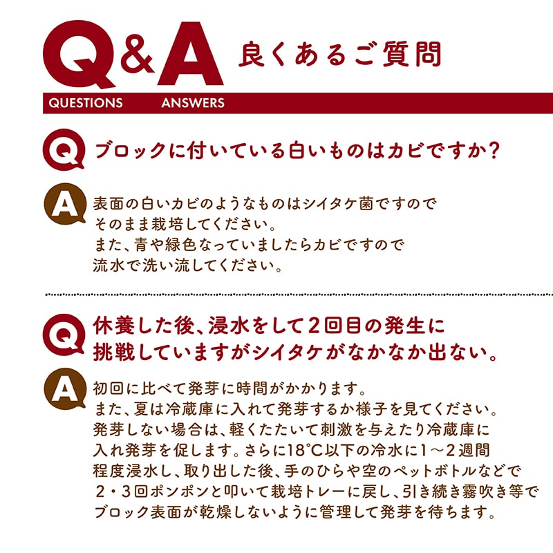 ニョキッコ（しいたけ栽培キット） | タマチャンショップ  公式オンラインストア｜タマチャンショップは毎日の食事で体の中から健康・美容・ダイエットを目指す方への自然食品ショップ » ニョキッコ（しいたけ栽培キット ）