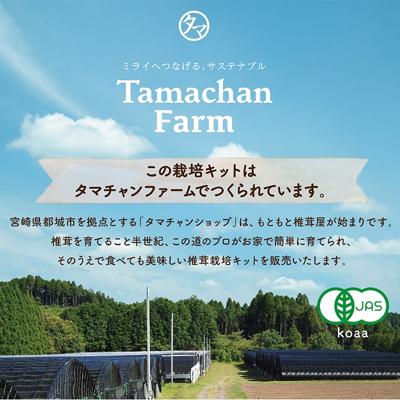 ニョキッコ(しいたけ栽培キット)サムネイル01