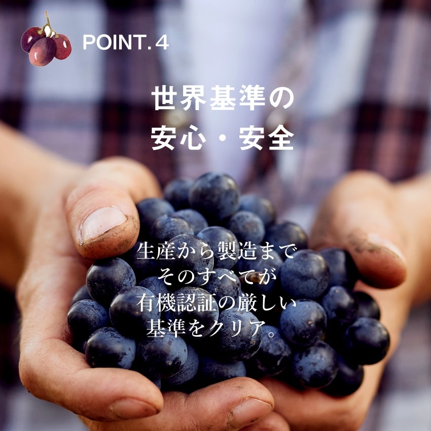 ななつのしあわせドライフルーツ 7種のレーズンミックス