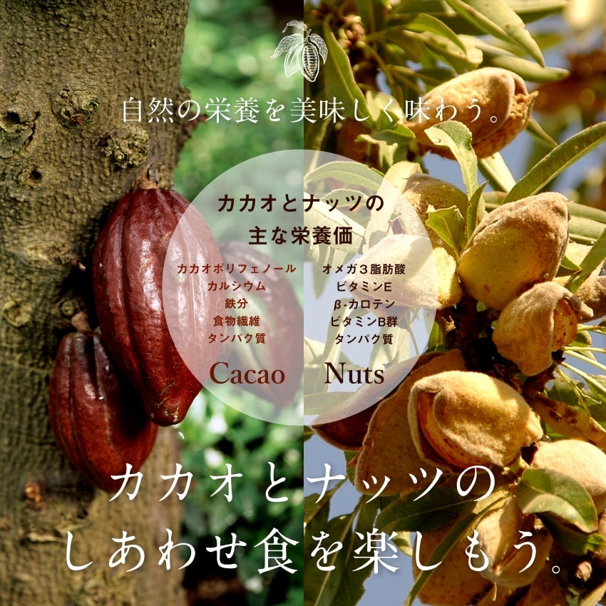 ミックスナッツチョコレート(とろけるカカオ仕立て)サムネイル01