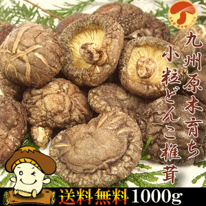 小粒どんこ椎茸1000g