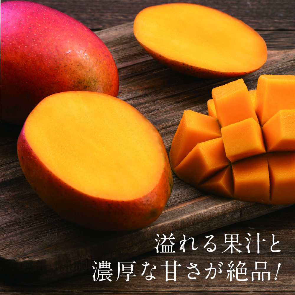 宮崎県産 完熟マンゴー 10kg食品