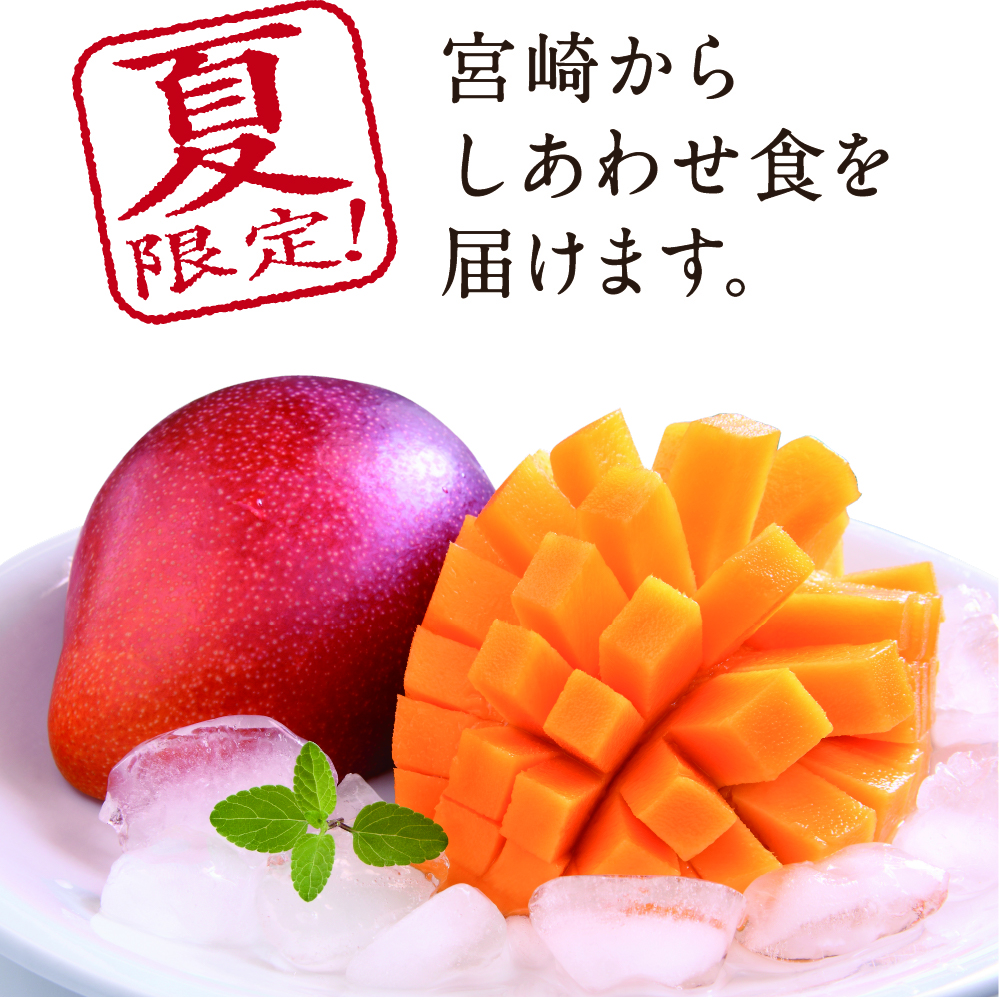 宮崎県産 完熟マンゴー 10kg