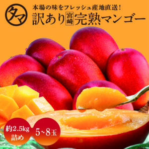 訳あり完熟マンゴー約2.5kg