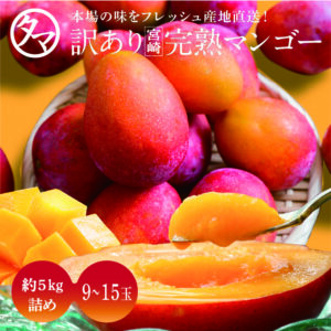 訳あり完熟マンゴー約10kg | タマチャンショップ 公式オンライン