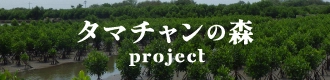 タマチャンの森プロジェクト