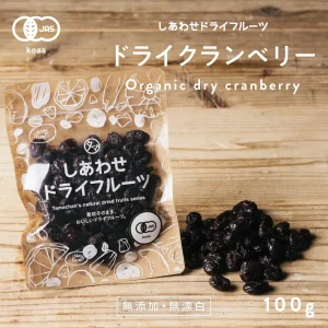 ドライ クランベリー100g
