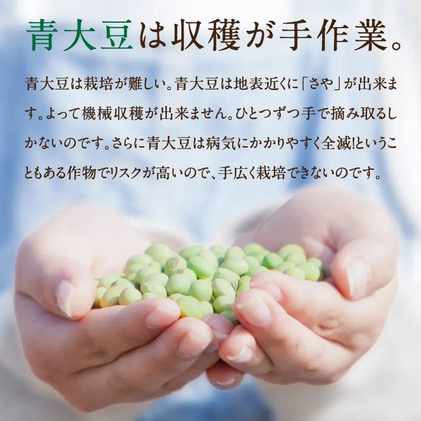 国産煎り青大豆800gサムネイル01