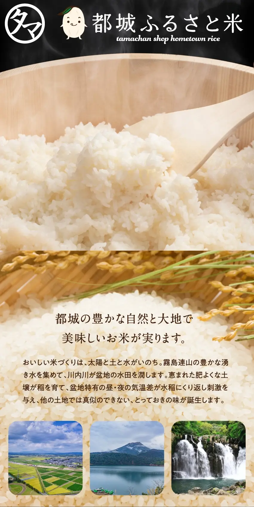 pippi　上白精米 Amazon.co.jp: 【精米】 国産 100% 極上の甘さ 高級 ブレンド米