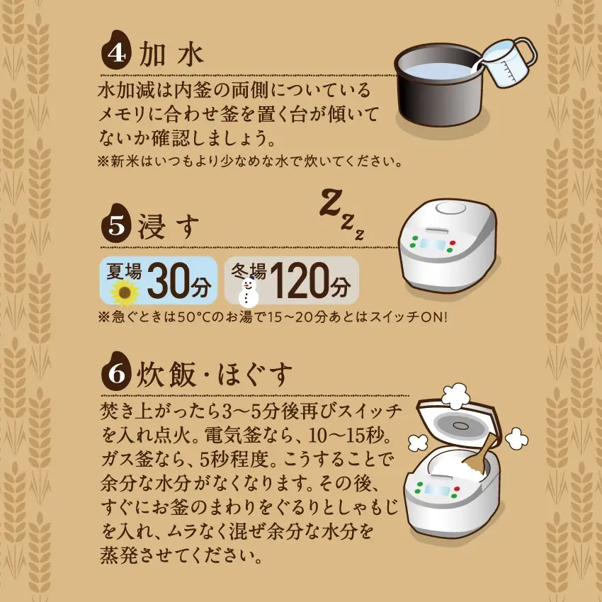 都城ふるさと米（ひのひかり）精白米300g(2合) | タマチャン