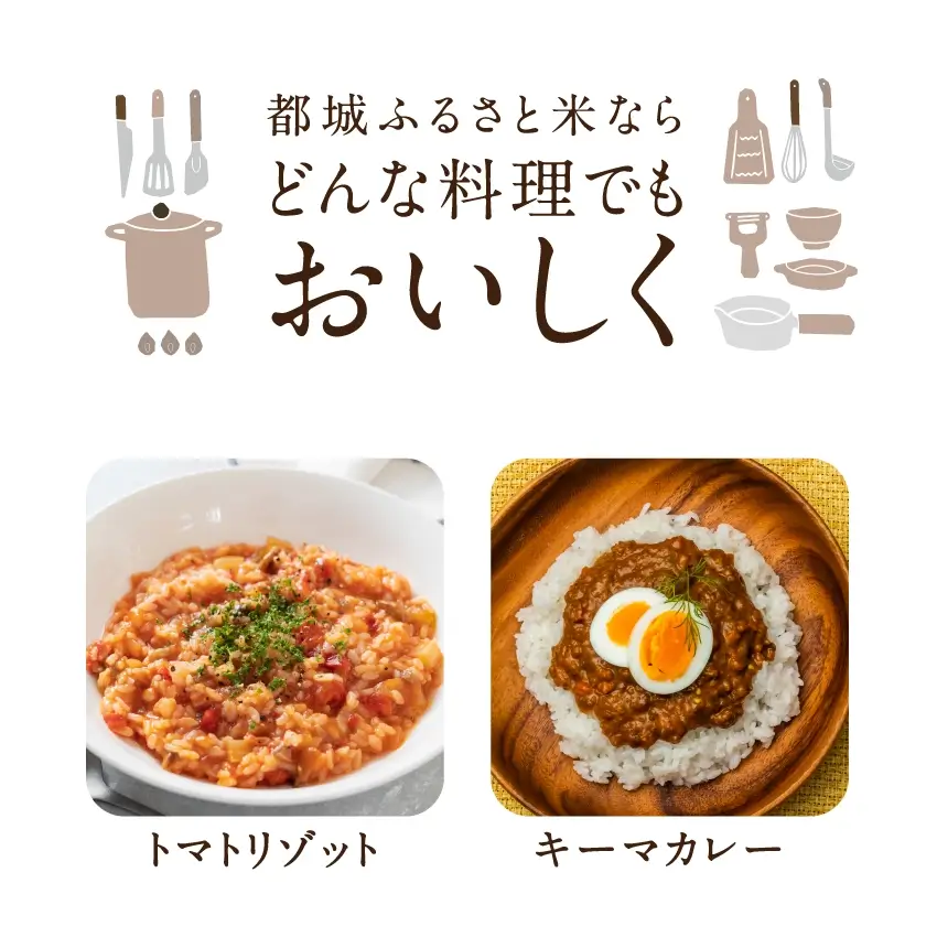 都城ふるさと米(ひのひかり)精白米300g(2合)サムネイル01