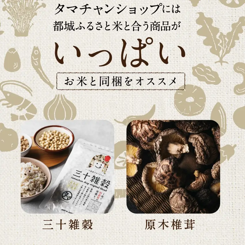 都城ふるさと米(ひのひかり)精白米300g(2合)サムネイル01