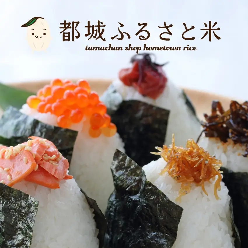 都城ふるさと米(ひのひかり)精白米300g(2合)サムネイル01