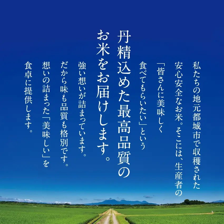 都城ふるさと米(ひのひかり)精白米300g(2合)サムネイル01