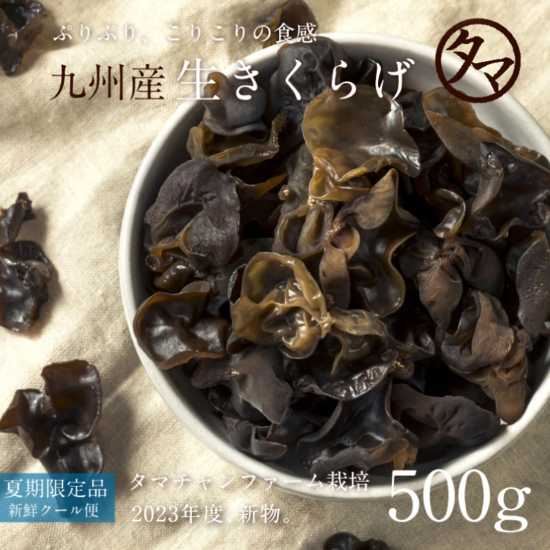 生キクラゲ（木耳）500gサムネイル01