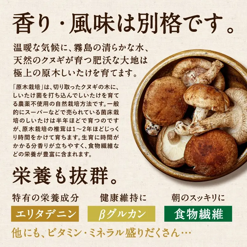 しあわせ佃煮サムネイル01