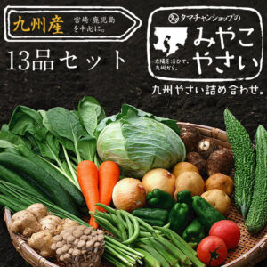 九州野菜セット13品