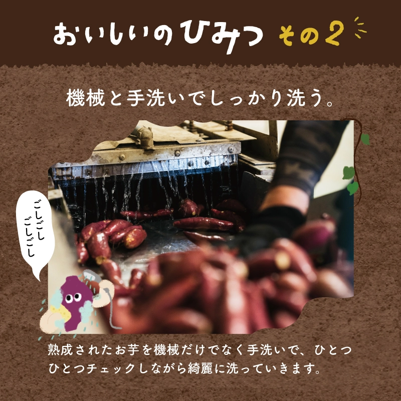 じゅうにんおいも丸干しサムネイル01