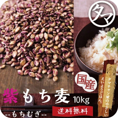 令和５年産紫もち麦「ダイシモチ」１０kg R5.5.20収穫食品 - 米/穀物