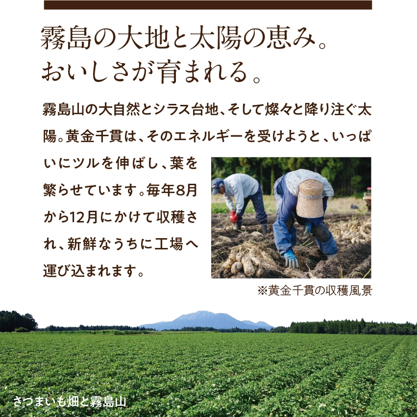 サクまいも3点セットサムネイル01