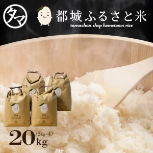 IRIS OHYAMA 令和6年産 米 20kg 送料無料 千葉県産 こしひかり