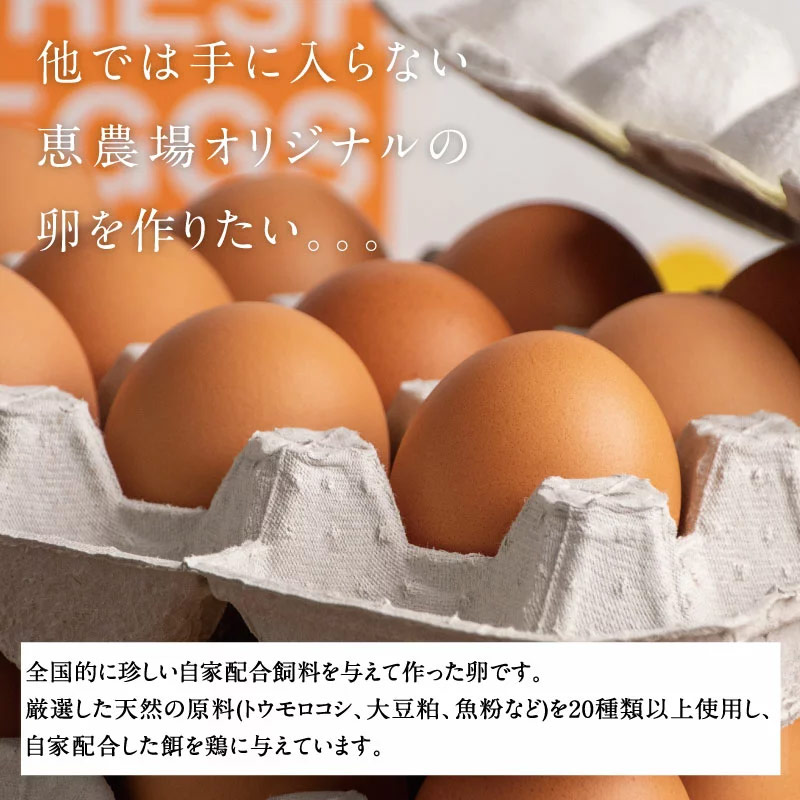 高崎のめぐみ 10個サムネイル01