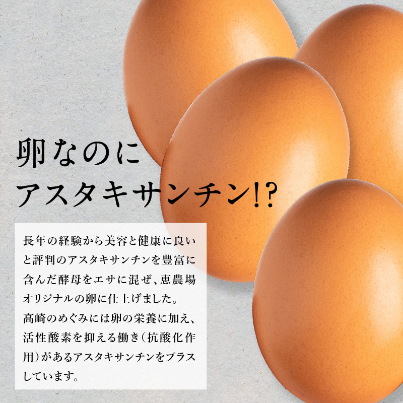 高崎のめぐみ 10個サムネイル01