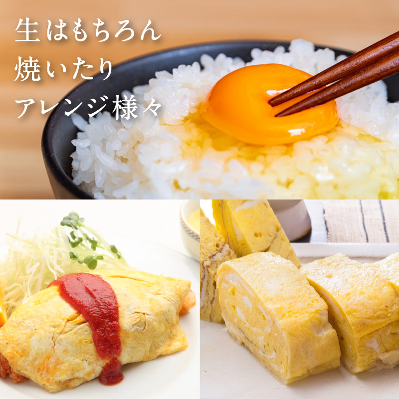 高崎のめぐみ 10個サムネイル01
