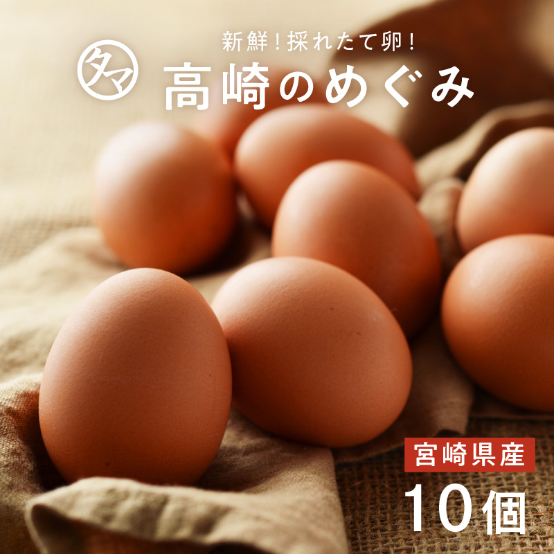 高崎のめぐみ 10個サムネイル01
