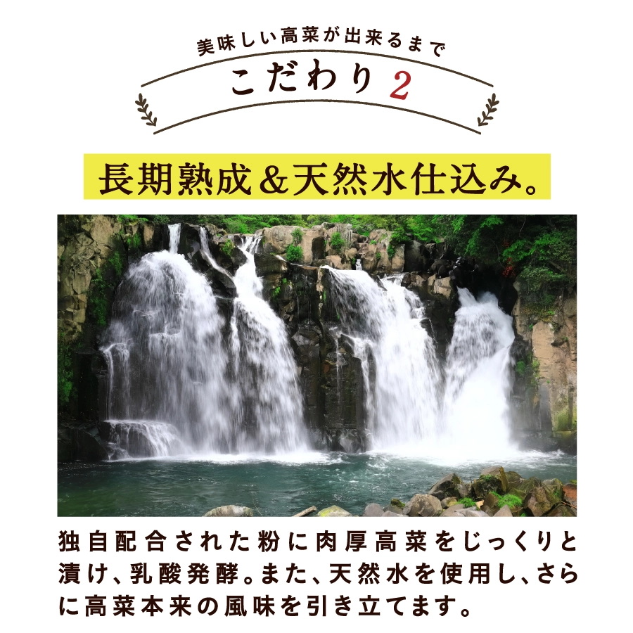 九州たかなサムネイル01