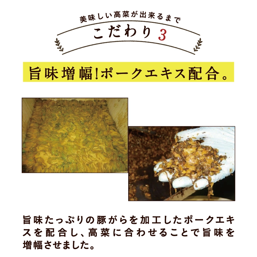 九州たかなサムネイル01