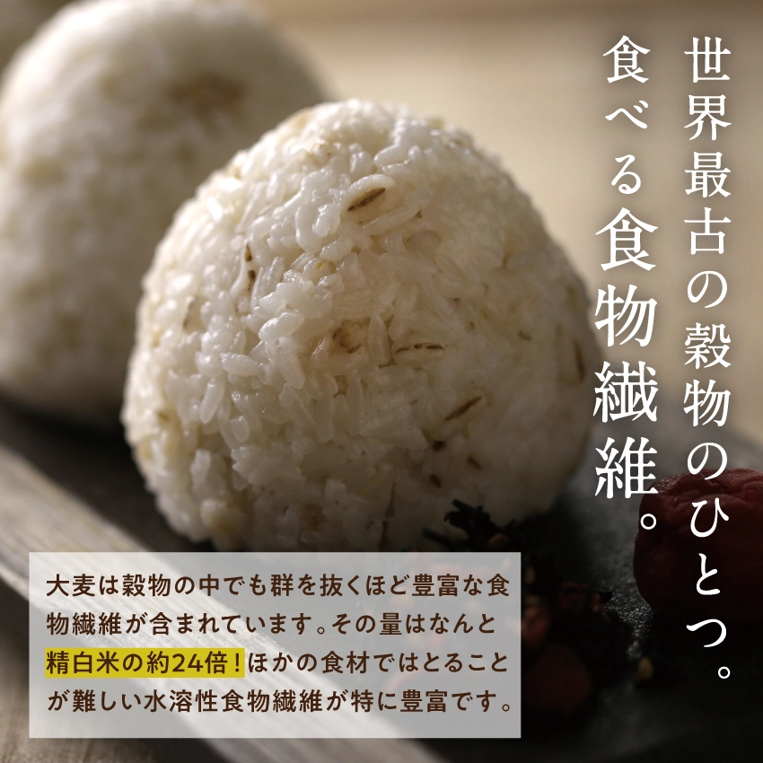大麦(押し麦・押麦)サムネイル01