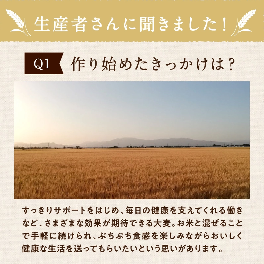 大麦(押し麦・押麦)サムネイル01