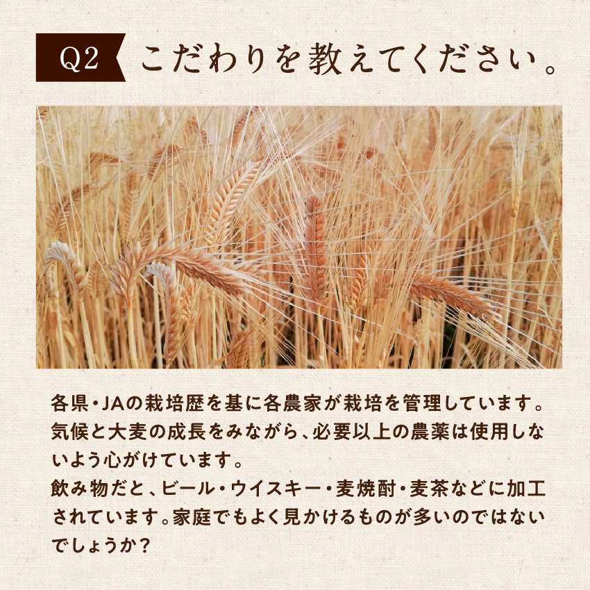 大麦(押し麦・押麦)サムネイル01