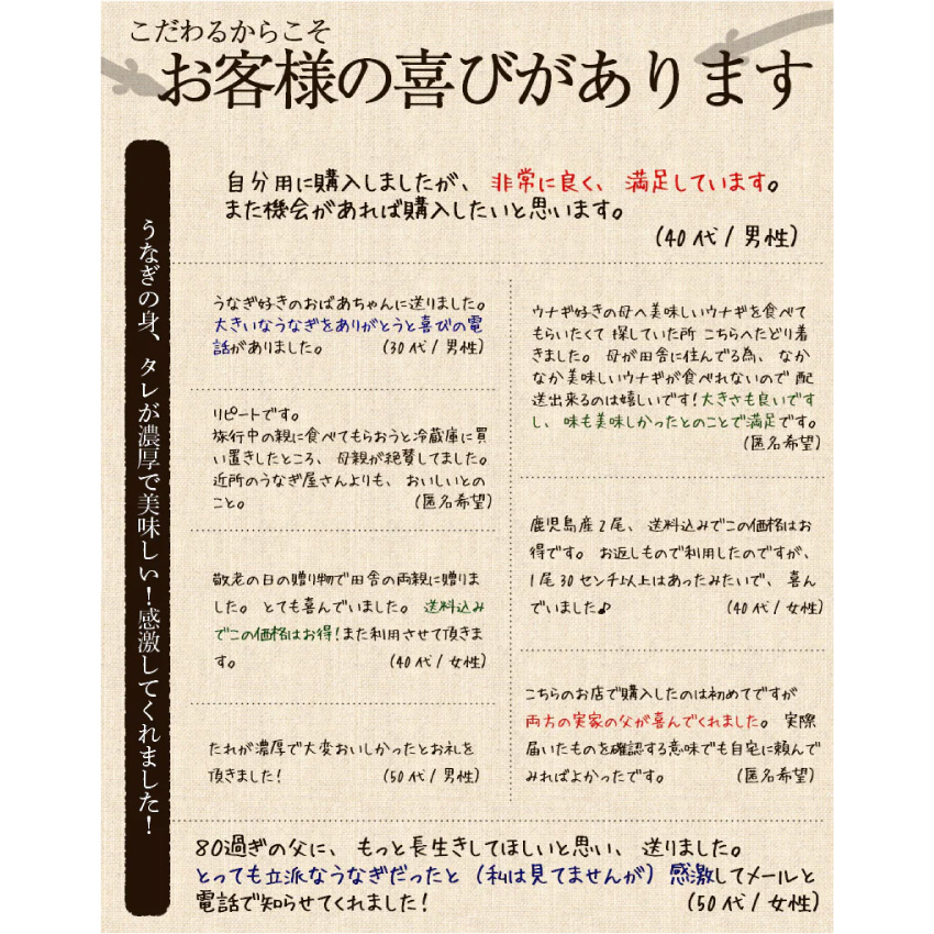 九州産うなぎ蒲焼2尾セットサムネイル01