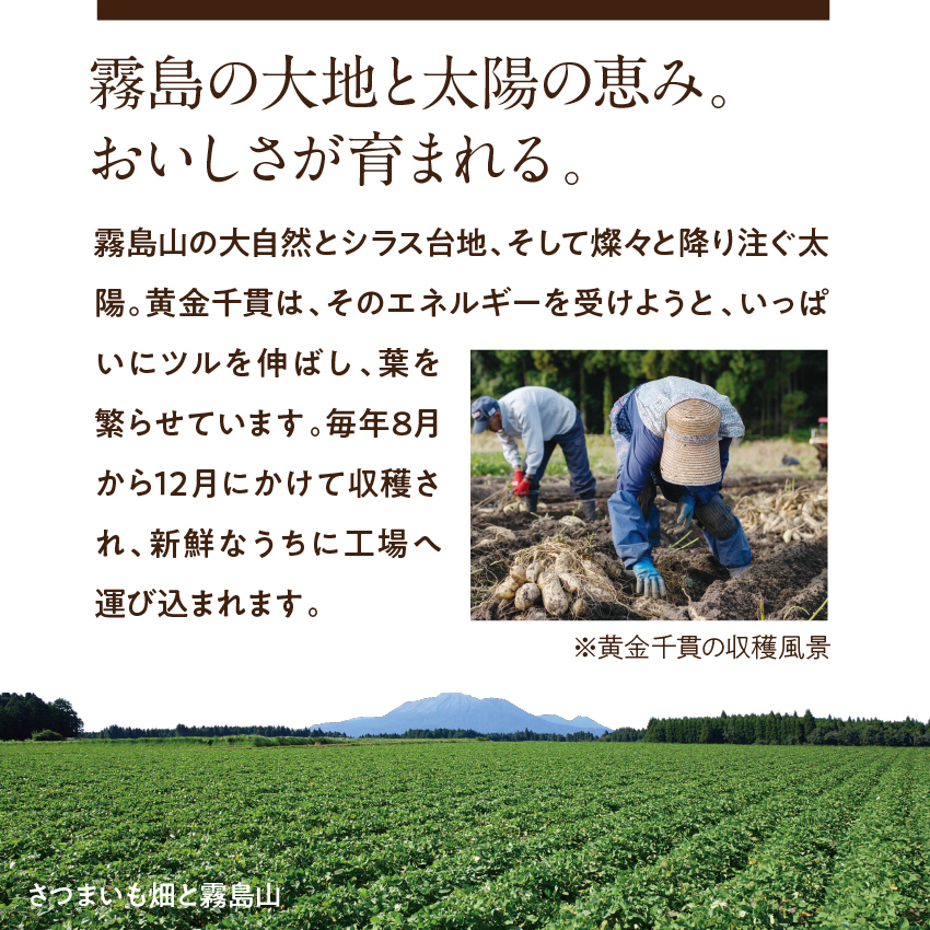 サクまいも（メルティショコラ）2袋セットサムネイル01