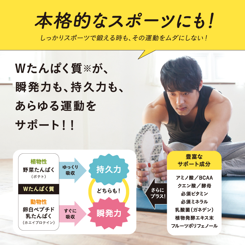 【定期】ショクササイズサムネイル01