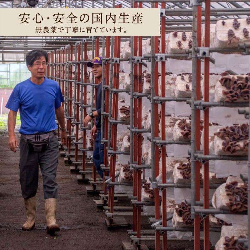 九州産乾燥キクラゲサムネイル01