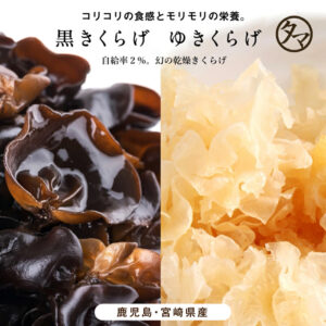 九州産乾燥キクラゲ