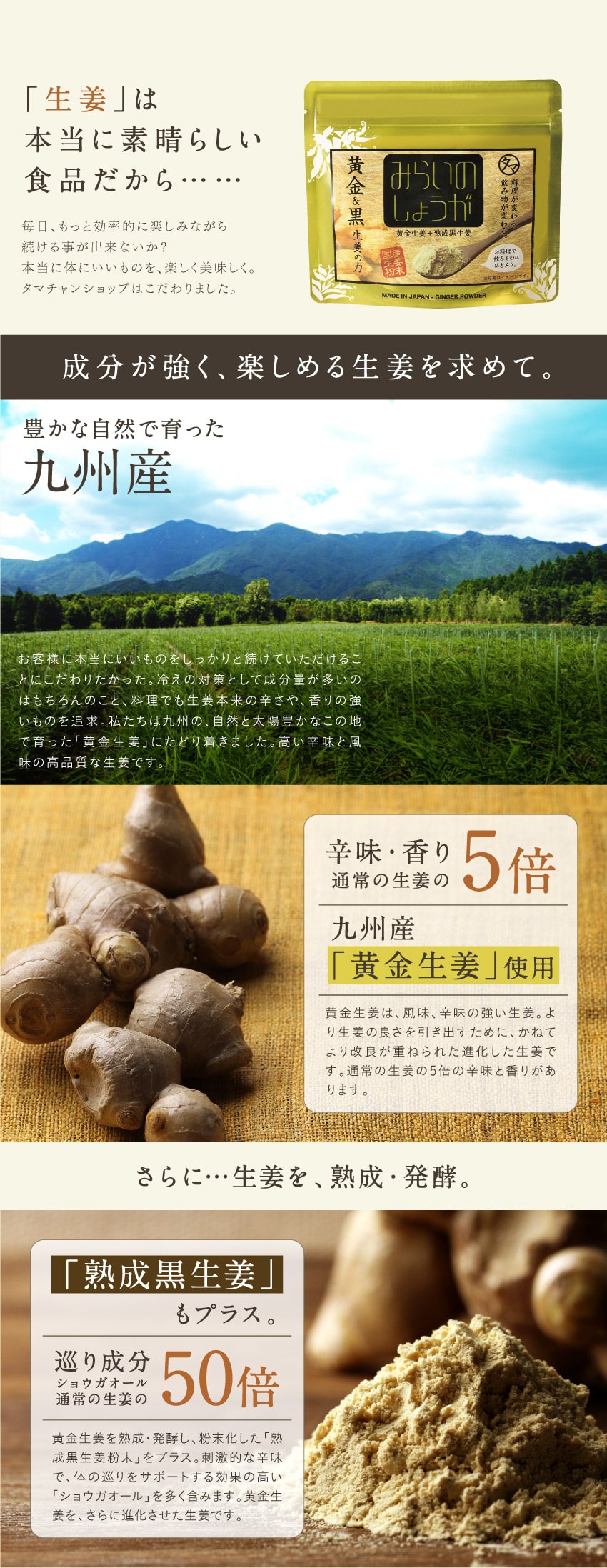 みらいのしょうが