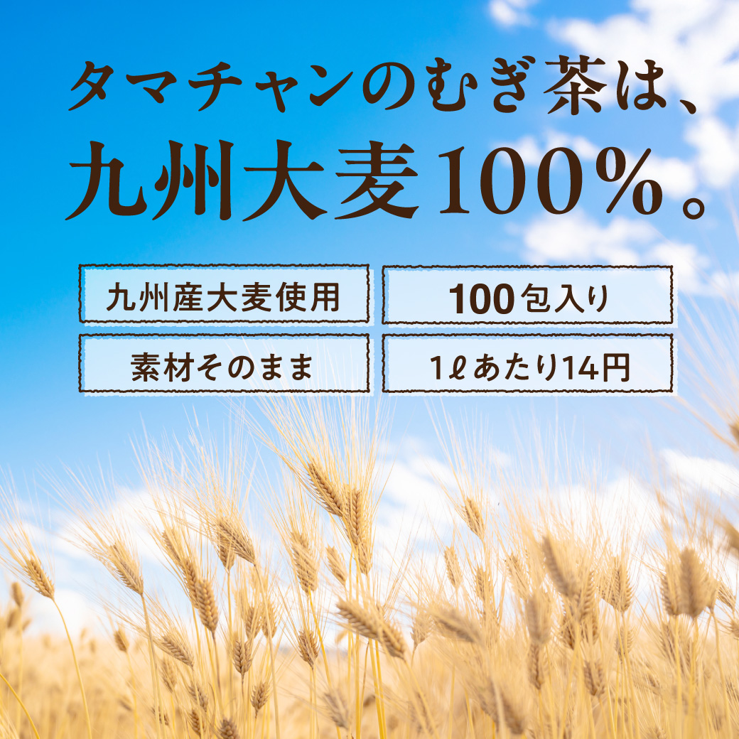 九州産麦茶（むぎ茶）サムネイル01